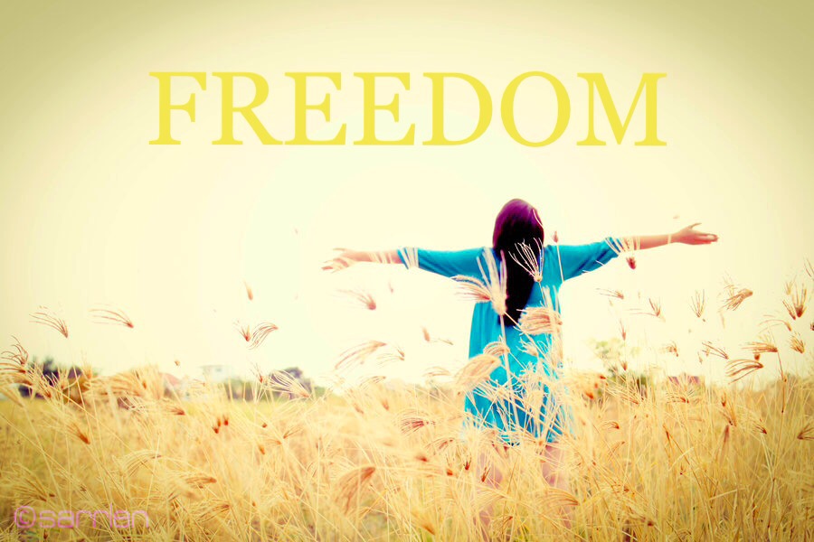 The Social Anarchist Conception of Freedom – Solarpunk Anarchist
